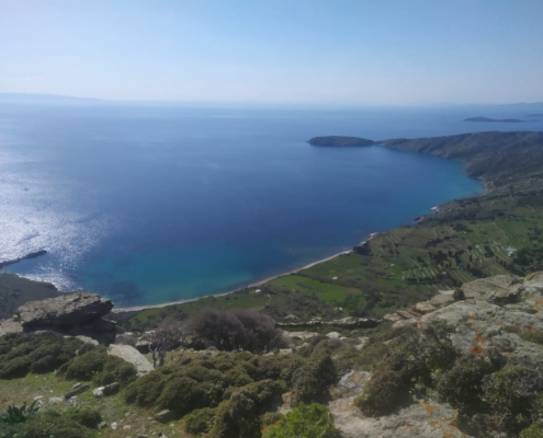 Paliopolis_IMG-20210327-WA0022