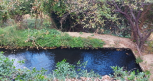 xavouza_144529