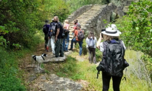 panachradou-monastery-mesariaFF