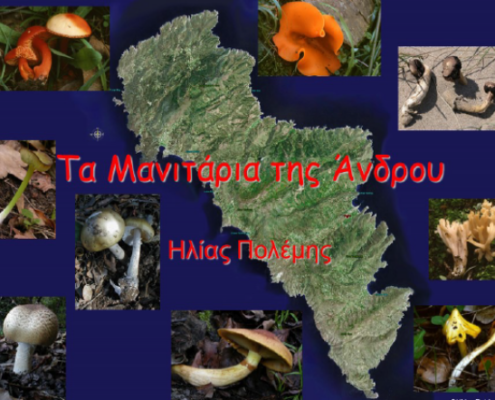 manitaria Elias Polemis