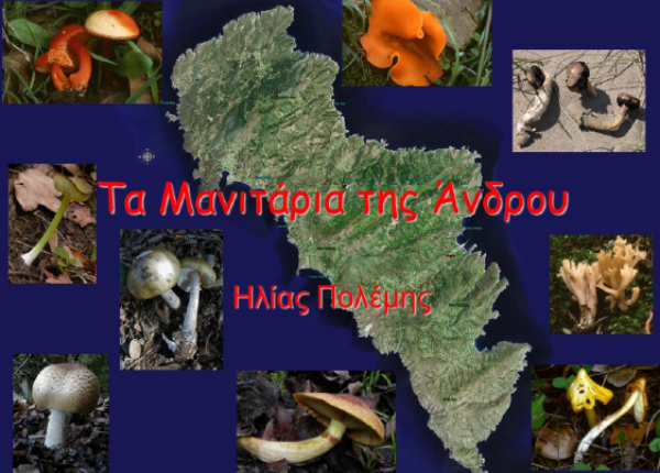 manitaria Elias Polemis