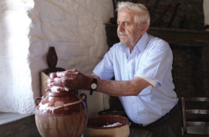 Tyrokomia_Tyri