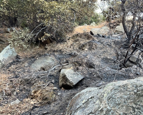 Paleopolis fire (1)