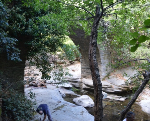 6_Route_01981