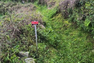 Path cleaning April-FF