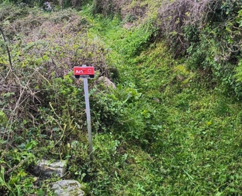 Path cleaning April-FF