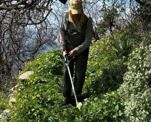 Path cleaning FF