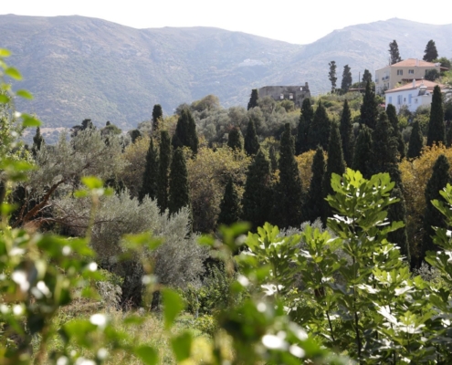 andros routes1